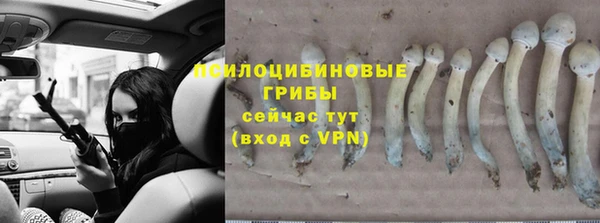 а пвп мука Аркадак